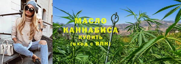 дмт Алексин