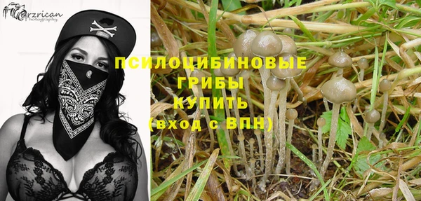 молекула духа Алзамай